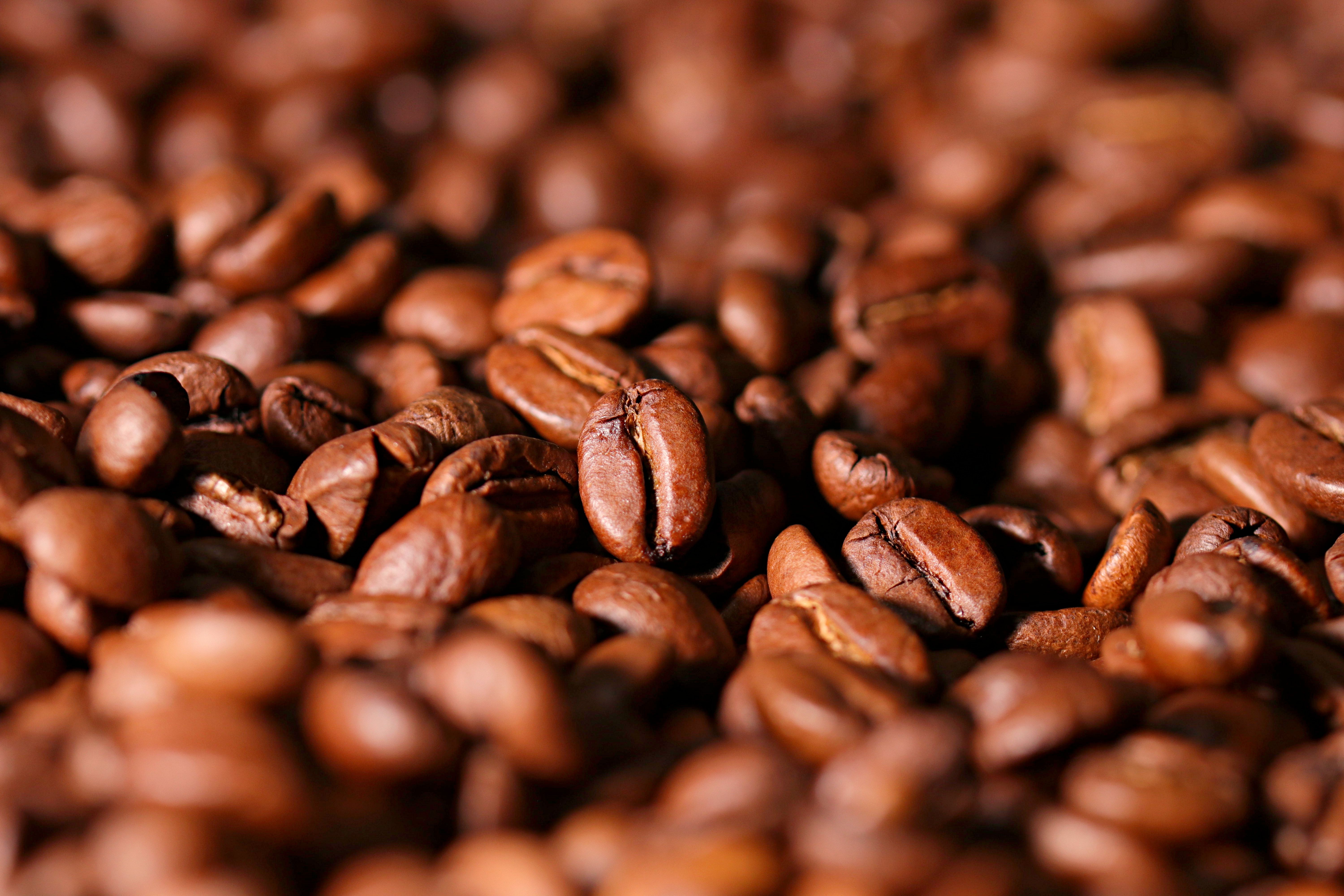 brazilian coffee beans