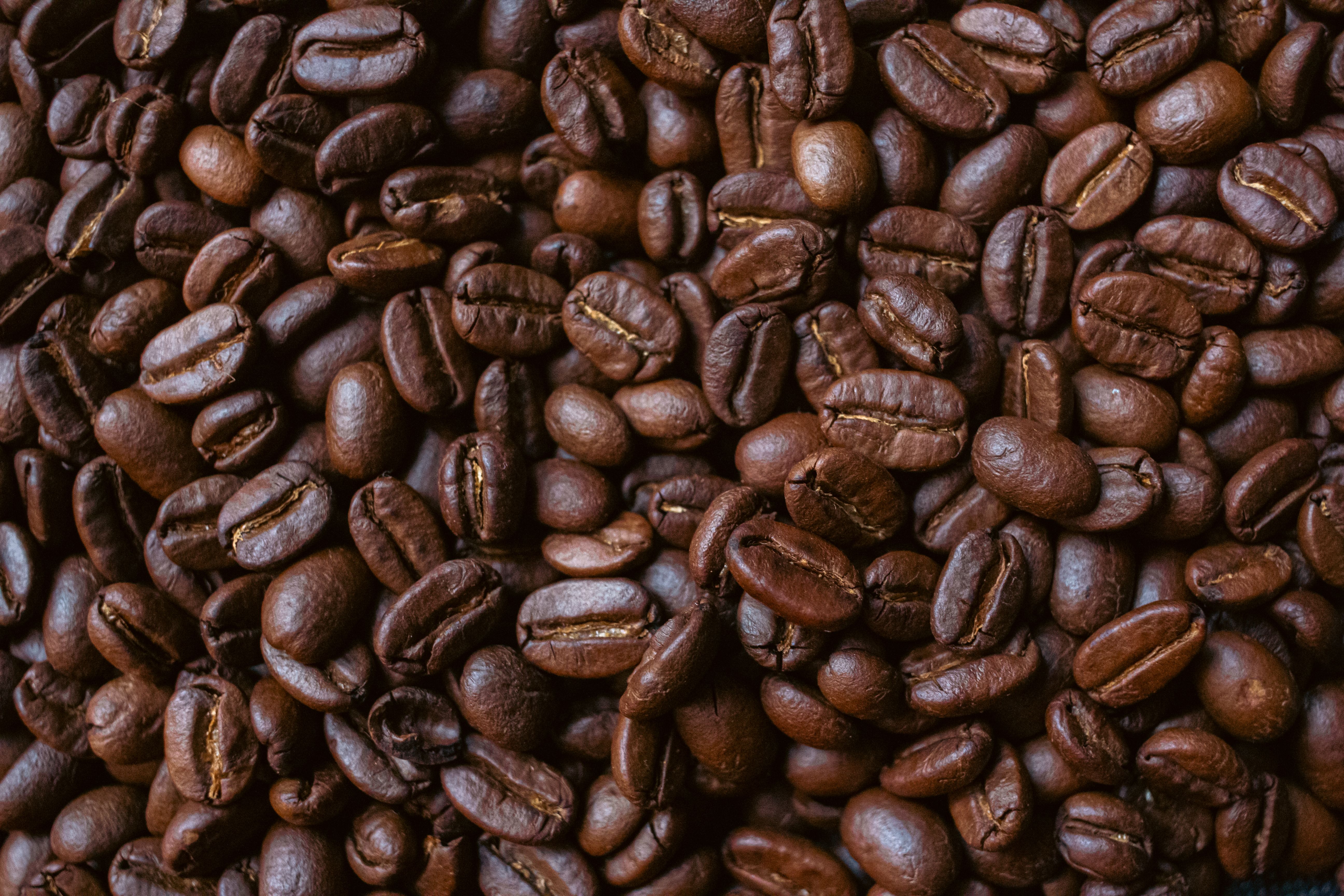 columbian coffee beans