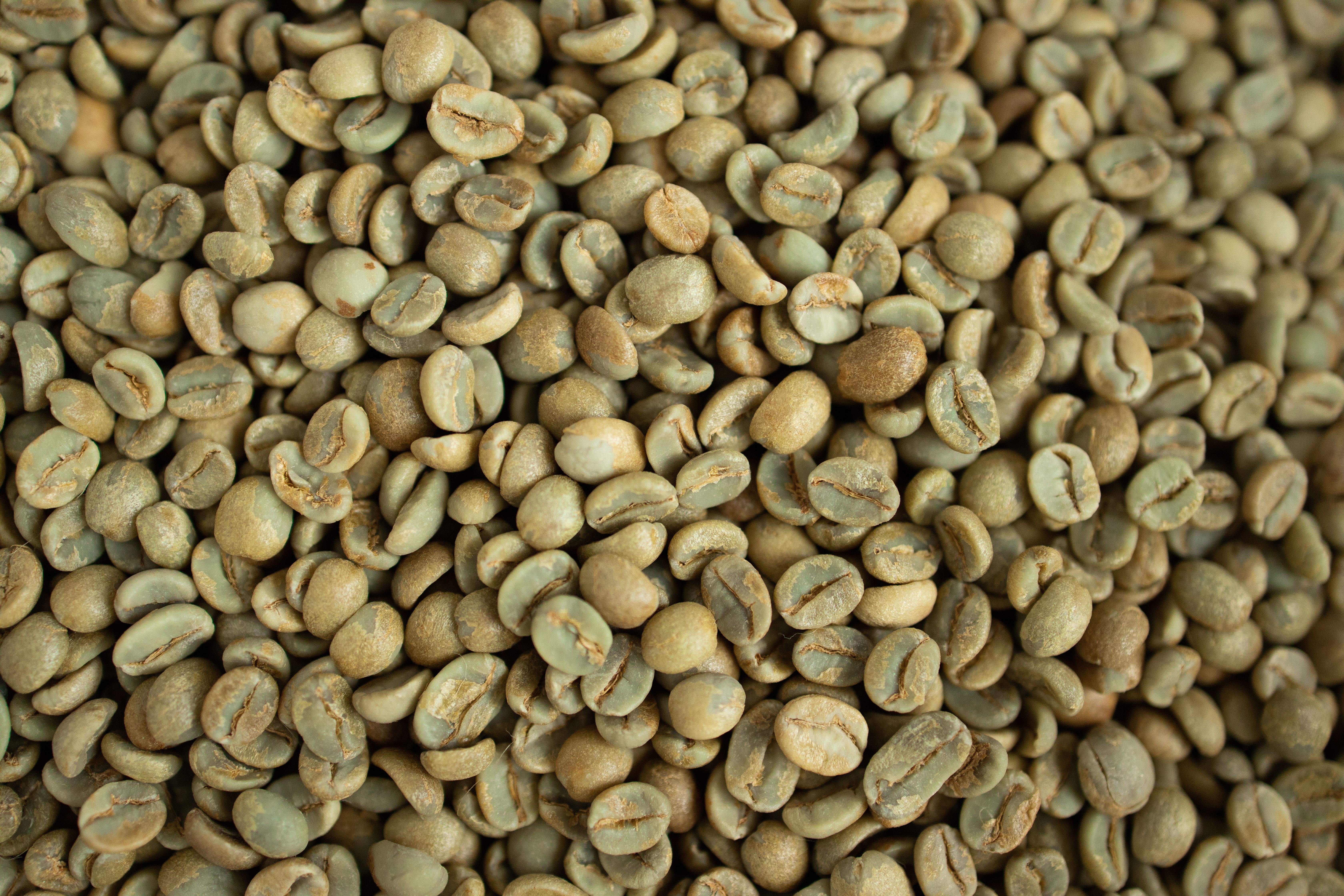 ethiopean coffee beans